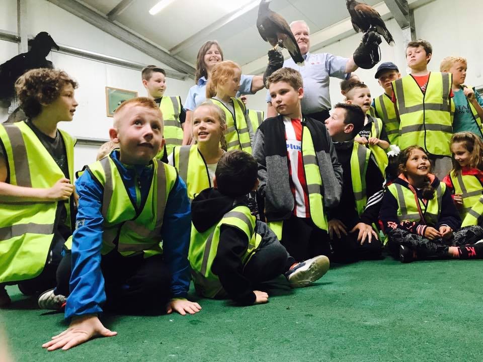 Wilson's Flooring Specialists from Wirral with iPLANit KIDS